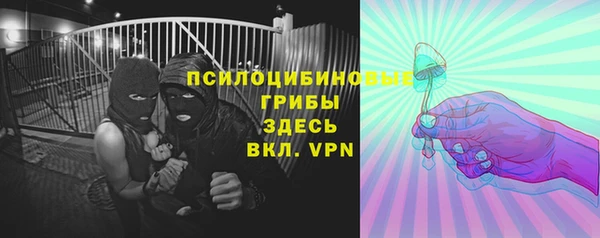 СК Алексин