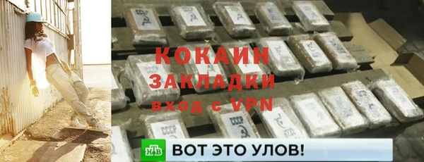СК Алексин